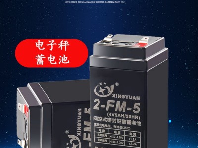 4伏电子称免维护铅酸蓄电池 4v4ah20hr计价称电子秤电池 电瓶图4