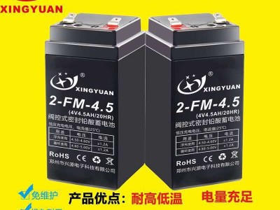 4伏电子称免维护铅酸蓄电池 4v4ah20hr计价称电子秤电池 电瓶图3