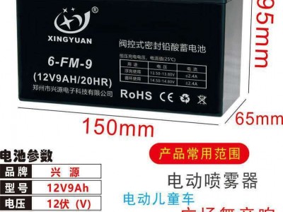 电梯应急灯铅酸蓄电池 12V9AH增氧机水泵电动喷雾器水泵UPS电瓶图2
