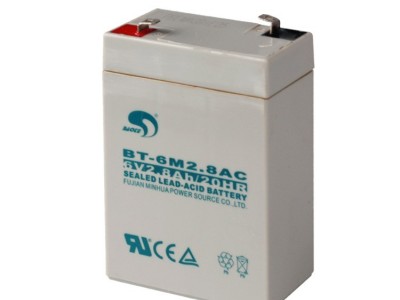 赛特6V2.8AH蓄电池BT-6M2.8AC电瓶电子秤蓄电池电池玩具车电瓶图3