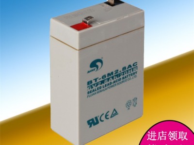 赛特6V2.8AH蓄电池BT-6M2.8AC电瓶电子秤蓄电池电池玩具车电瓶图2