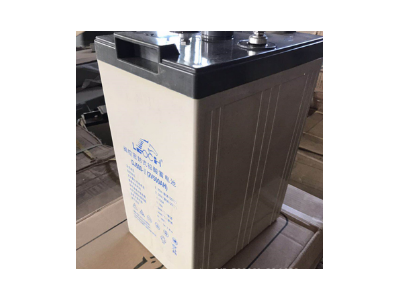 理士蓄电池DJ1000理士电池2V1000AH 太阳能储能 电力基站2V500AH图4