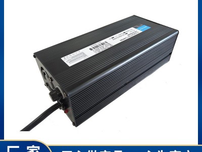 4串磷酸铁锂电池充电器14.6V20A电动船应急电源充电器图1