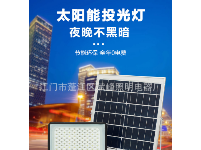 LED投光灯满天星太阳能投光灯高亮庭院灯道路户外led照明 投光灯图1