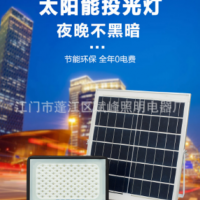 LED投光灯满天星太阳能投光灯高亮庭院灯道路户外led照明 投光灯