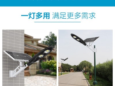跨境批发感应led大宝剑家用太阳能路灯 户外农村分体太阳能路灯头图5
