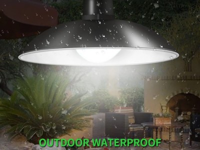 太阳能单头吊灯LED复古球泡灯 户外一拖二双头室内外遥控照明路灯图4