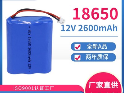 厂家18650电池组电动工具后备可充电储能LED太阳能灯聚合物锂电池图3