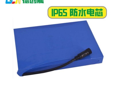 太阳能锂电池组 12V40Ah监控led路灯感应灯蓄电池 应急灯储能电池图4