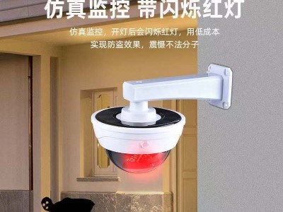 跨境太阳能灯户外庭院灯智能人体感应照明灯仿真监控摄像头路灯图3