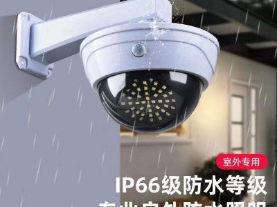 跨境太阳能灯户外庭院灯智能人体感应照明灯仿真监控摄像头路灯图2