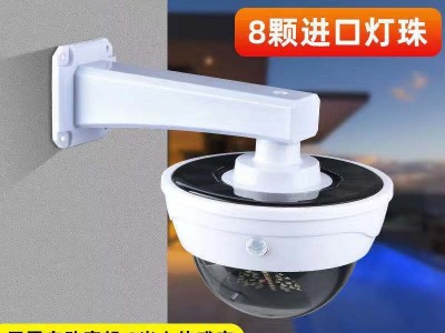 跨境太阳能灯户外庭院灯智能人体感应照明灯仿真监控摄像头路灯图5