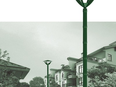 景观庭院灯LED灯新农村建设路灯道路照明厂家图5