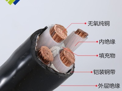 YJV铜2345单芯 10/16/25/35/50/70/95/185平方电缆阻燃铠装硬线图3