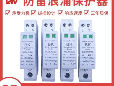 防雷浪涌保护器家用2p防避雷器220/380V 电涌防雷开关浪涌模块图3