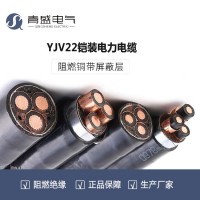 青盛电气YJV22 2*2.5铠装聚氯乙烯外护套电力电缆