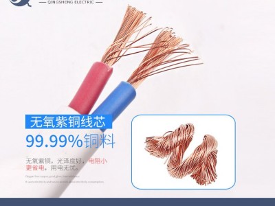RVVB扁平软护套线纯铜软电线 0.75 1 1.5 2.5 4平方铜线电源线图2