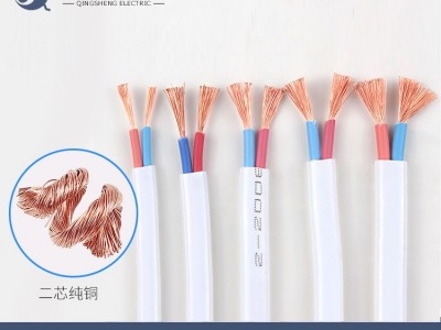 RVVB扁平软护套线纯铜软电线 0.75 1 1.5 2.5 4平方铜线电源线图4