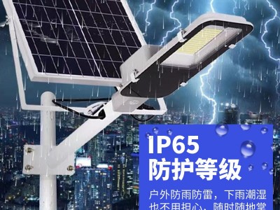厂家直销太阳能路灯LED家用户外农村道路照明太阳能灯Solar Light图4
