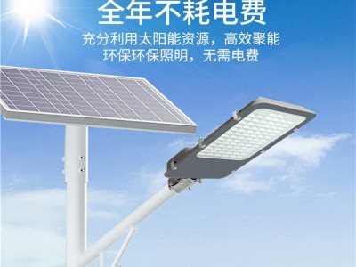 农村太阳能路灯led中国结金豆外壳6米灯杆中山河源厂家包施工安装图3