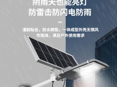 100W别墅太阳能路灯 乡村道路分体led太阳能路灯 户外防水庭院灯图3