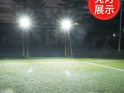 太阳能灯庭院灯led超亮防水投光灯室内外新农村照明路灯图3