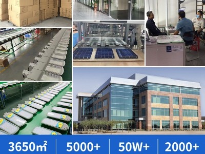 太阳能路灯工程款6米 solar light户外庭院灯农村一体化批发厂家图3