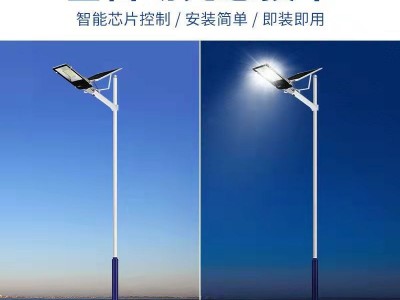 太阳能路灯 户外led定制金豆道路灯农村工程款太阳能路灯厂家直销图3