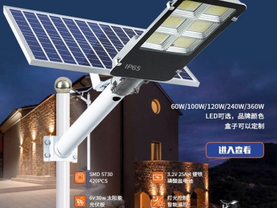 友光新农村太阳能路灯跨境乡村款太阳能灯欧美东南亚灯具厂家图5