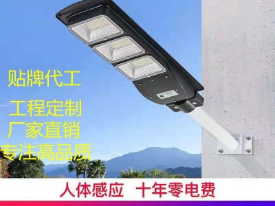 跨境新农村一体化太阳能路灯户外防水人体感应灯LED惠民庭院灯图1