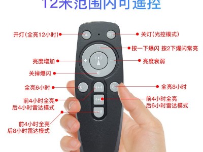 惠民政策新农村太阳能庭院灯人体雷达感应数显投光灯太阳能投光灯图2