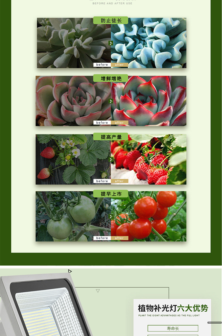LY284-植物生长灯_02.jpg