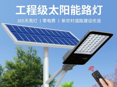金豆LED太阳能路灯 工程款自动感应低压高亮户外灯头 太阳能路灯图2