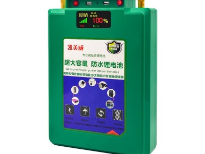 12伏100A户外防水锂电池12V大容量三元聚合物锂电瓶非铅酸蓄电池图1