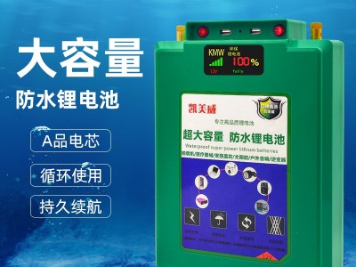 12伏100A户外防水锂电池12V大容量三元聚合物锂电瓶非铅酸蓄电池图2