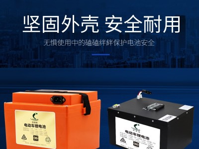 凯美威电动车48V60v20ah三轮车72v35A外卖超轻大容量电瓶车锂电池图3