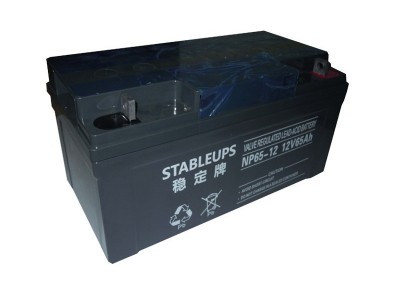 稳定牌12V65AH铅酸免维护蓄电池NP12V65AH监控系统UPS电源专用图2