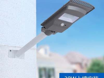 工厂批发100W城镇路灯一体化太阳能路灯头 家用LED太阳能庭院门灯图1