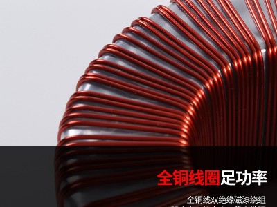 定制环牛升压调压器48V变230V电机UPS逆变5KW单相环型自耦变压器图2