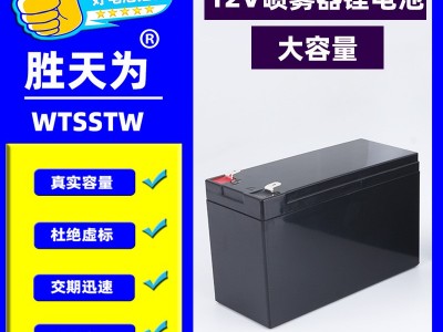 电动喷雾器锂电池12V蓄电池 大容量磷酸铁锂电池 地摊照明电源图1