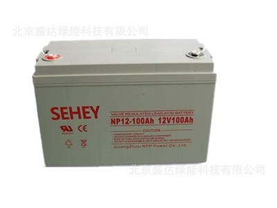 SEHEY蓄电池NPG12-100 12v100ah免维护铅酸阀控密封式西力蓄电池图2