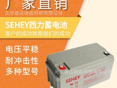 SEHEY蓄电池NPG12-100 12v100ah免维护铅酸阀控密封式西力蓄电池图1