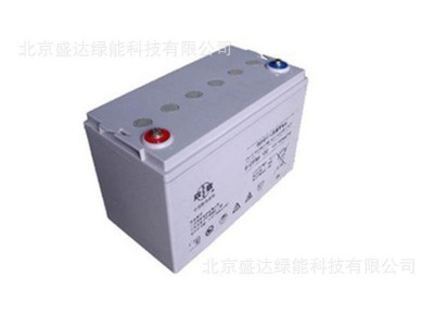 双登蓄电池6-GFM-120 12V120AH阀控密封免维护铅酸UPS不间断电源图2