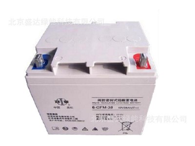 12V38AH铅酸免维护基站医疗通信/UPS/直流屏6-GFM-38双登蓄电池图2