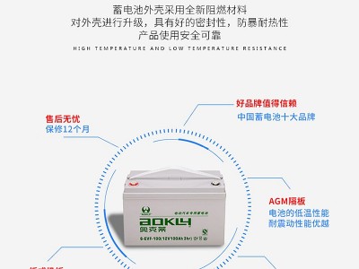 电动汽车蓄电池6-EVF-100B 12V100AH观光车巡逻车高尔夫球车电池图2