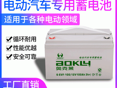 电动汽车蓄电池6-EVF-100B 12V100AH观光车巡逻车高尔夫球车电池图1