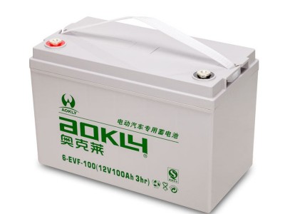 电动汽车蓄电池6-EVF-100B 12V100AH观光车巡逻车高尔夫球车电池图5