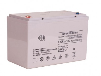 双登蓄电池6-GFM-100 阀控式密闭铅酸12V100AH储能UPS蓄电池图5