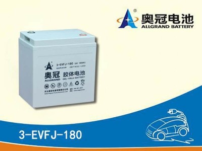 奥冠蓄电池3-EVFJ-180 储能胶体免维护6V180AH机车电瓶原厂质保图5