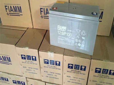 非凡蓄电池12SP100 非凡蓄电池12V100AH型号齐全UPS EPS蓄电池图5